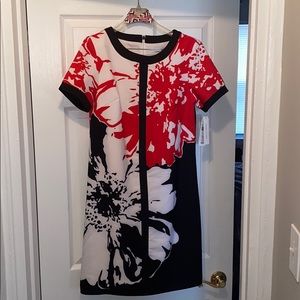 Women’s red, black, and white dress